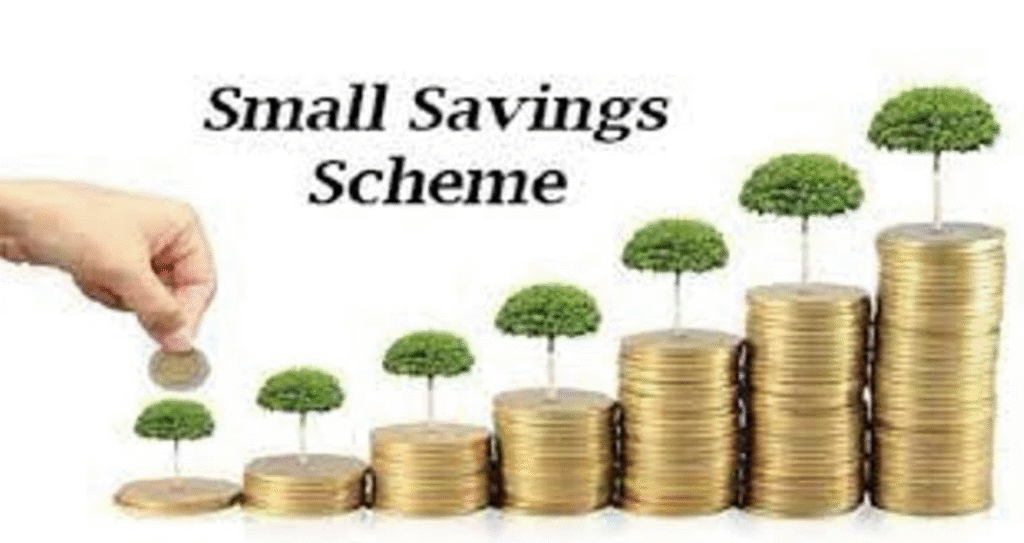 Small saving scheme