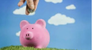 Save Money For future